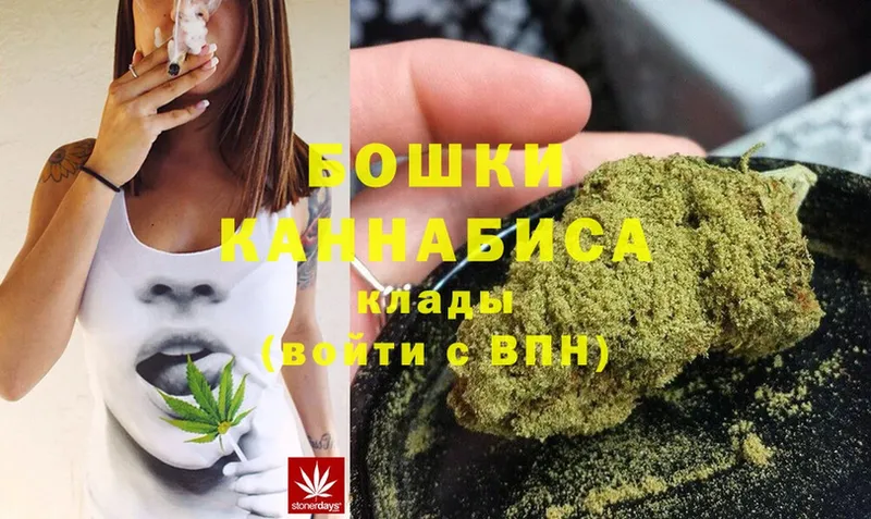 Шишки марихуана SATIVA & INDICA  цены наркотик  Богородск 